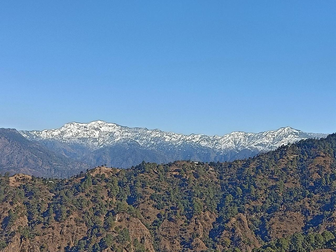 Shiva Valley Resort Kokhliyal Gaon Εξωτερικό φωτογραφία