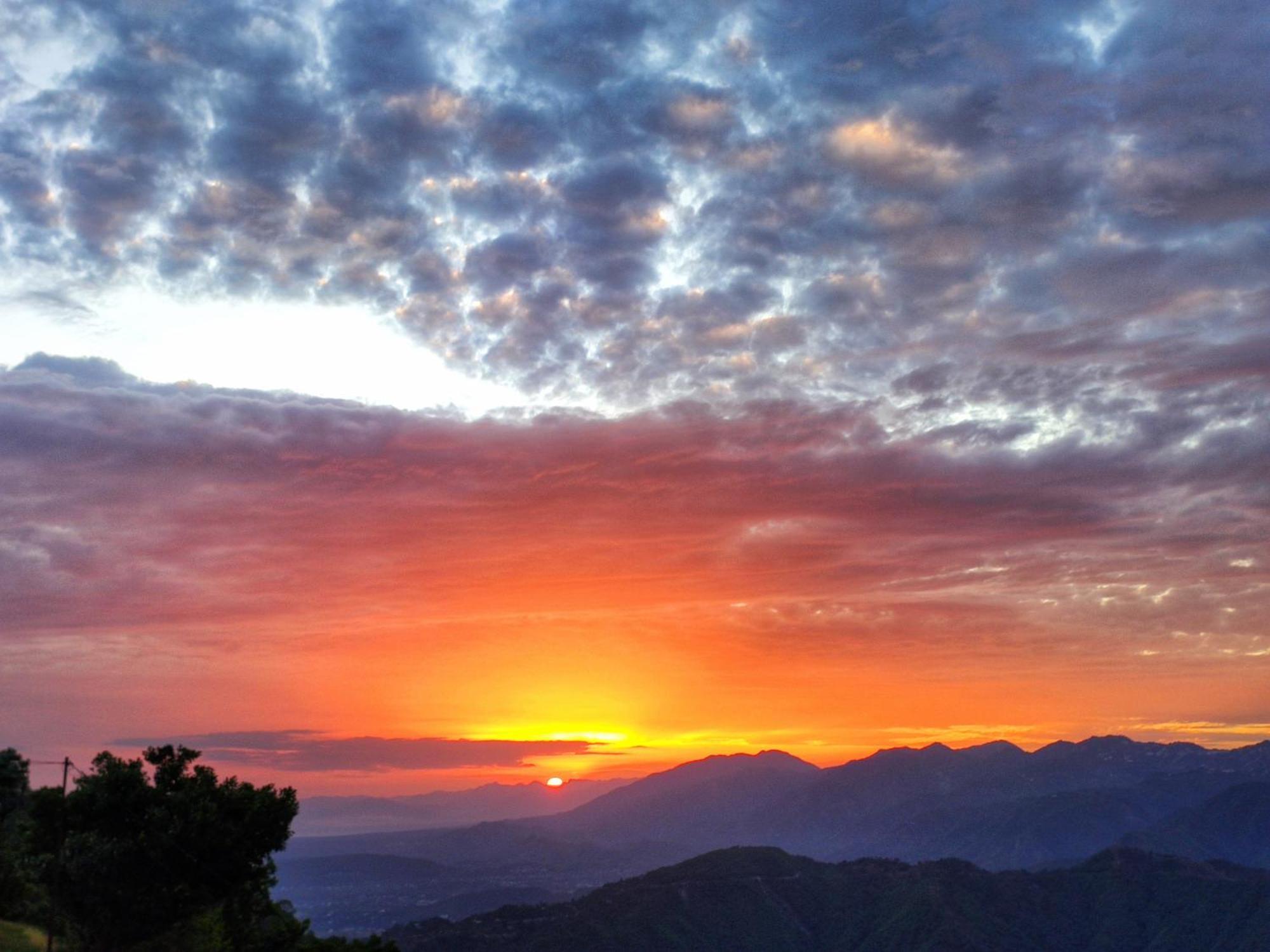 Shiva Valley Resort Kokhliyal Gaon Εξωτερικό φωτογραφία